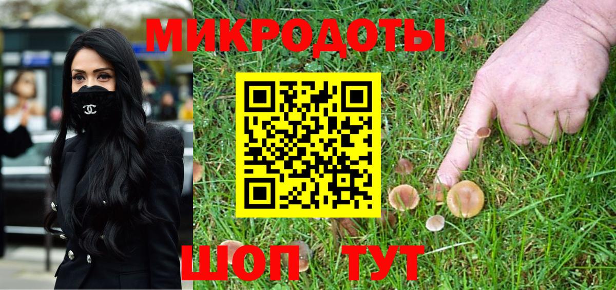 Псилоцибиновые грибы Psilocybe Гусев