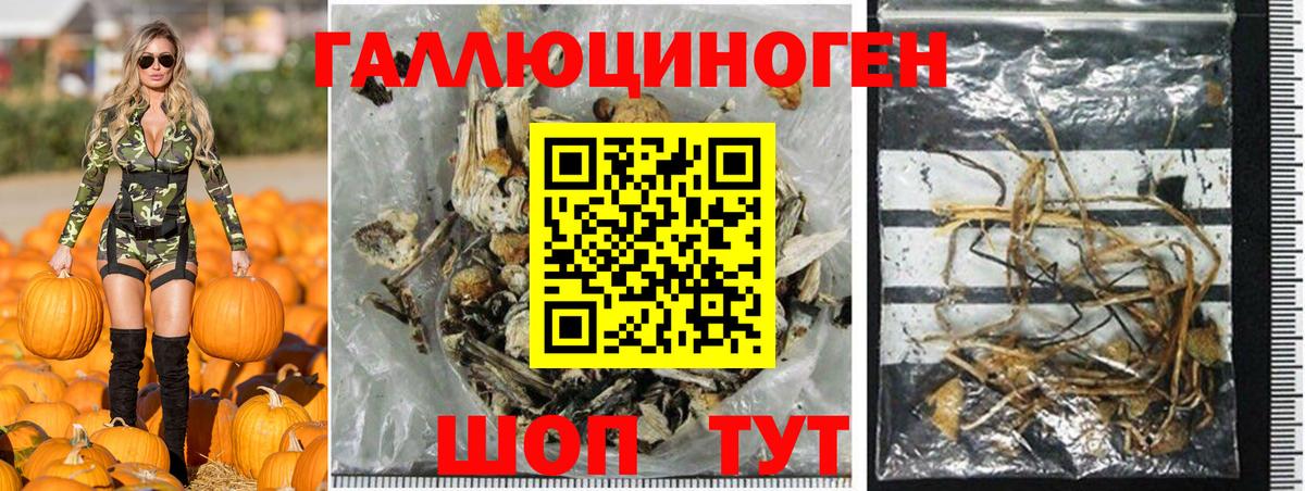 Псилоцибиновые грибы мицелий  Вход с VPN  Гусев  Галлюциногенные грибы MAGIC MUSHROOMS 